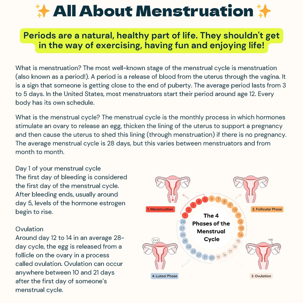 All About Menstruation